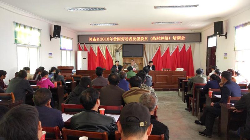 电商之路：金寨县汪洋电子商务的蝶变